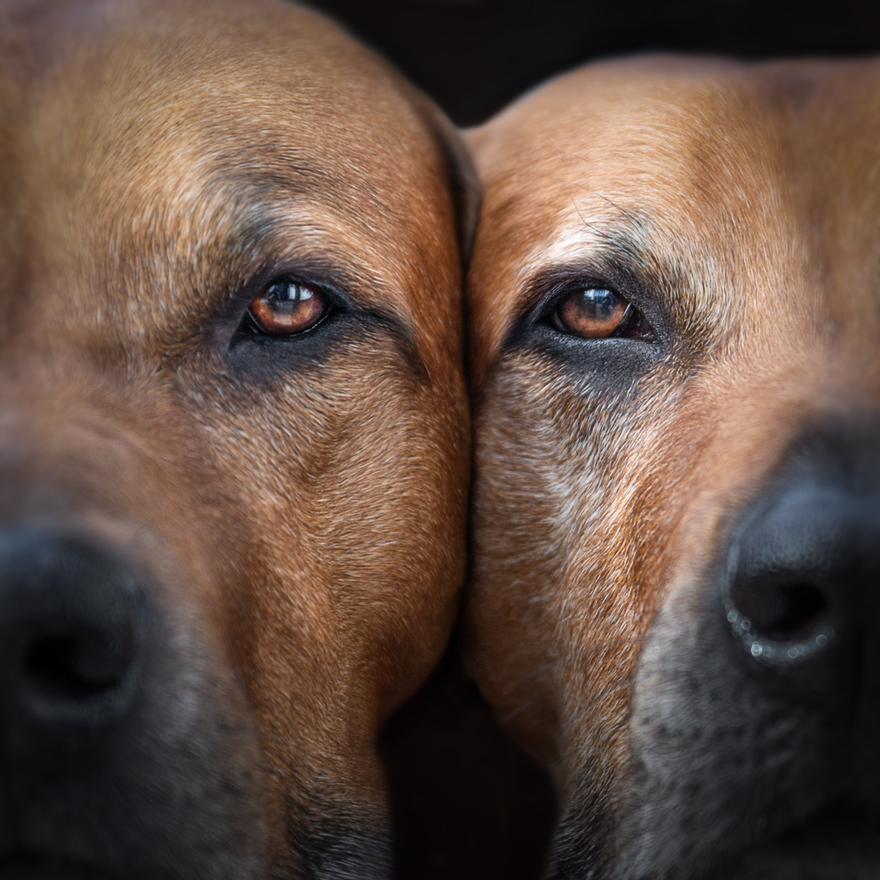 Anja Sehrt Fotografie